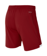 Шорты игровые Jogel DIVISION PerFormDRY Union Shorts, гранатовый 83