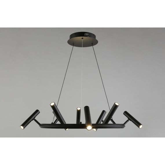 Подвесная светодиодная люстра Aployt Honor APL.067.03.40