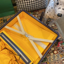 Goyard Bourget PM Trolley Case
