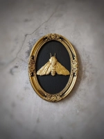 Барельеф на стену из гипса Мотылек