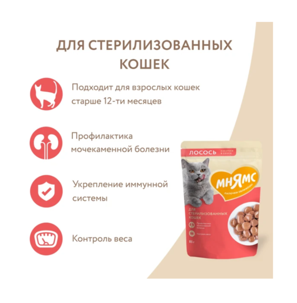 Мнямс Паучи для стерил.кошек Лосось в соусе, 85гр