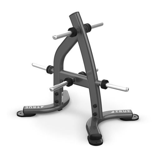 Стойка для дисков TRUE FITNESS (PARAMOUNT) XFW6300-19