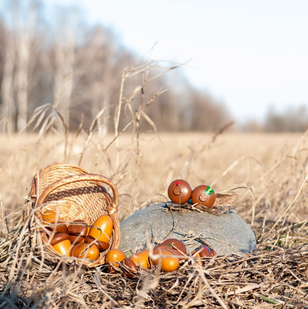 Счетный материал 12 желудей в льняном мешочке, Леснушки