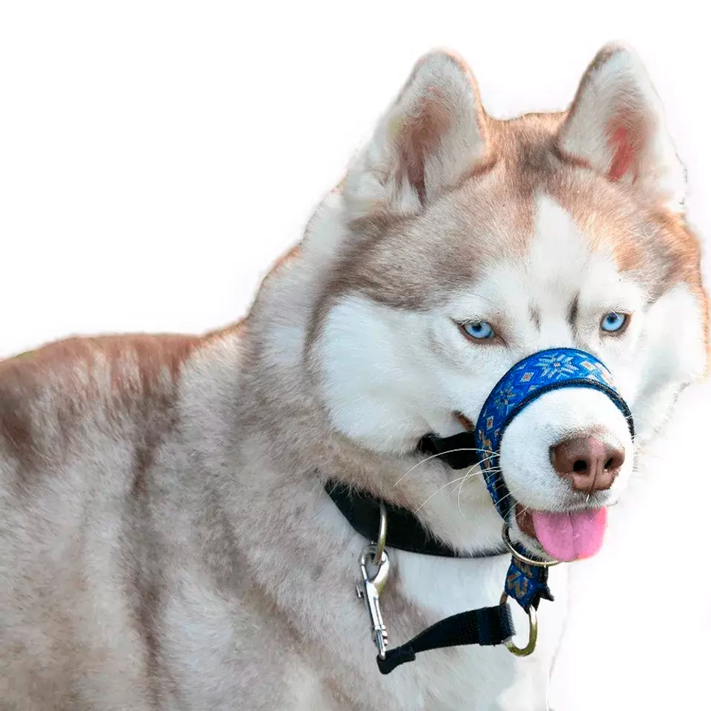 халти для собак собак синий поларис