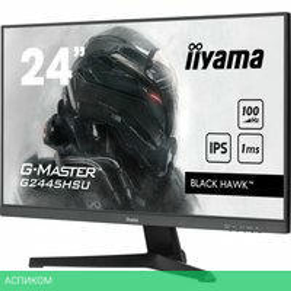 Игровой монитор Iiyama G-Master Black Hawk G2445HSU-B1
