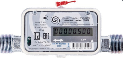 Счетчик газа РАДАН Принц-М G6