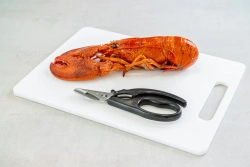 MasterClass Ножницы для морепродуктов 18,5 см