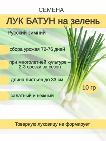 Семена лук на зелень (10гр)