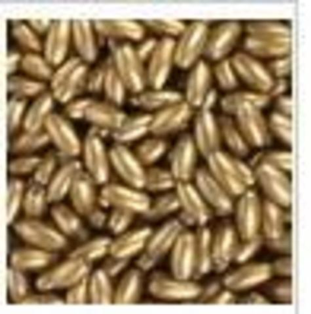 Бусы пластиковые -6мм-25г-Colibry