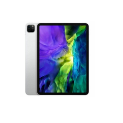 iPad Pro (4 Gen)