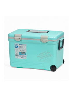 Термобокс SHINWA Holiday Land Cooler 27H бирюзовый