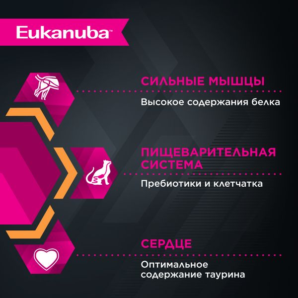 Пауч Eukanuba Adult Top Condition для взрослых кошек, с говядиной в соусе