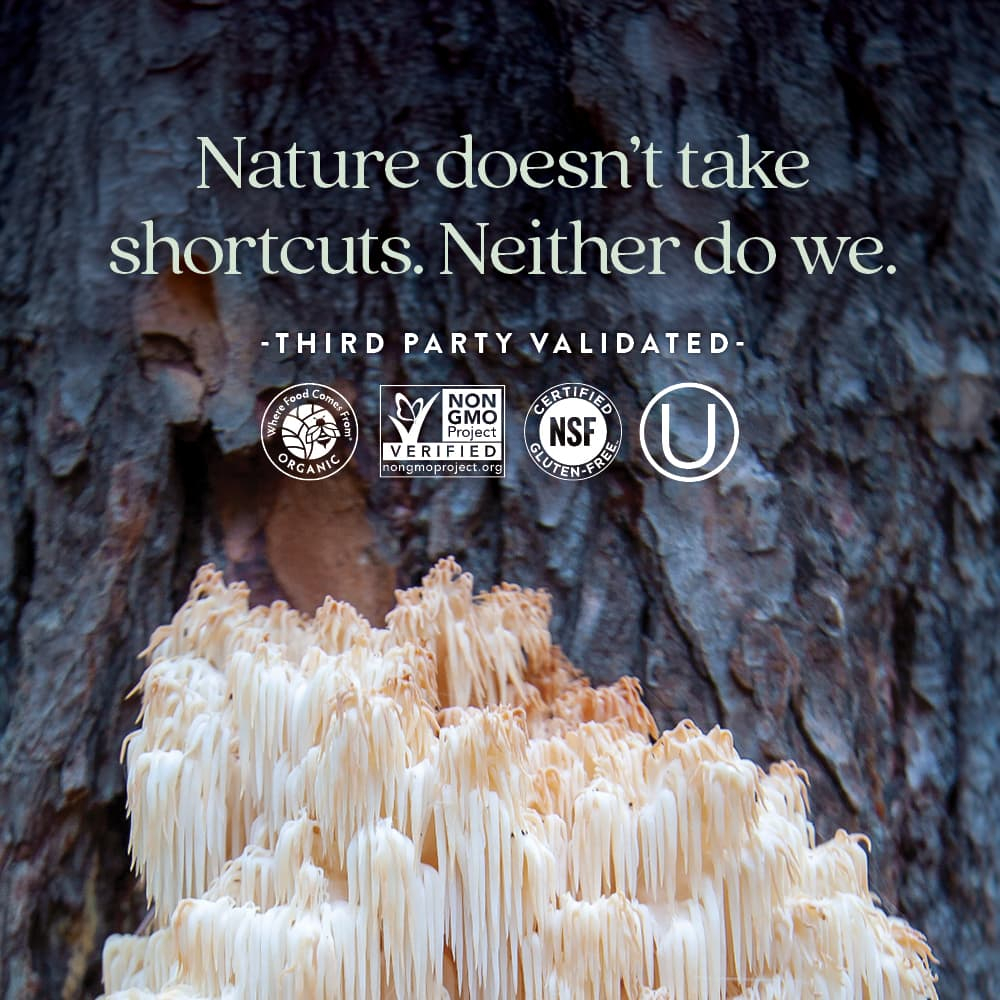 New Chapter, Holistic Nerve Health, 30 капсул