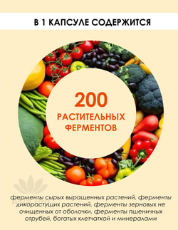 Энзимы Ogaland Vegetable Enzyme, 30капсул
