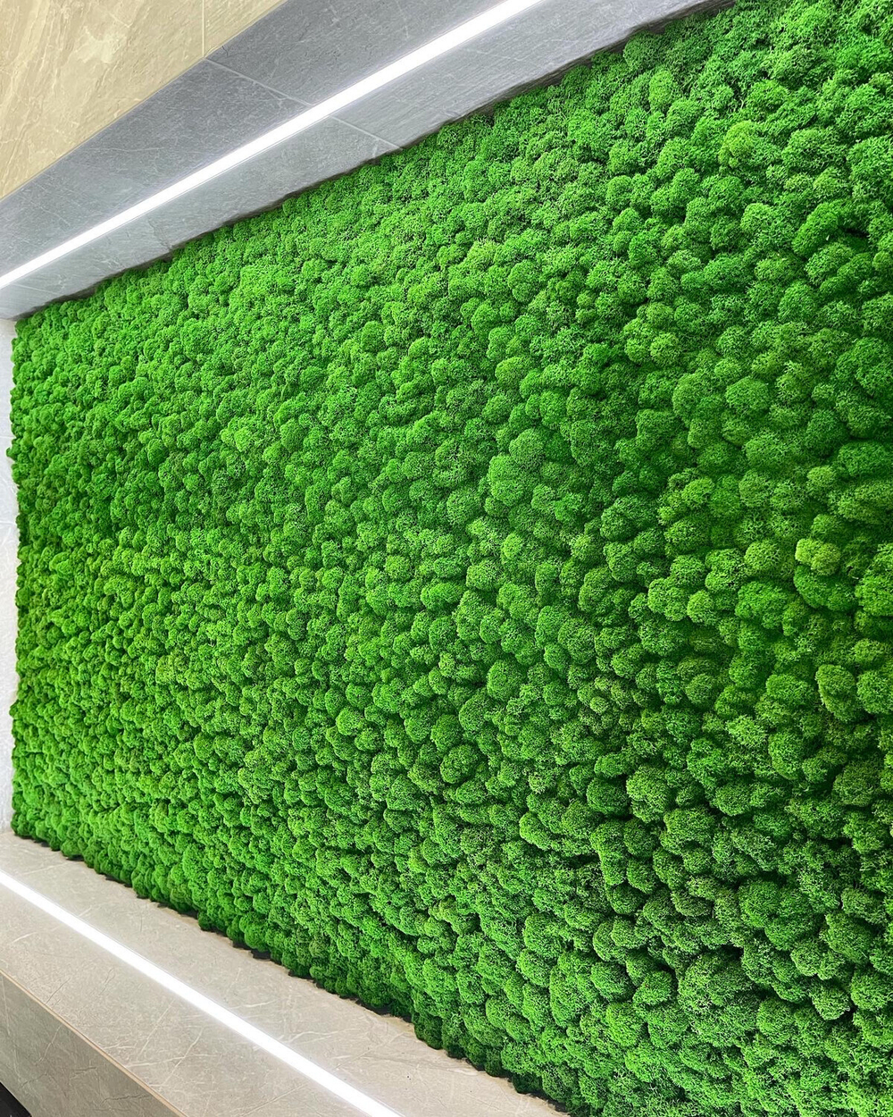 Мох ягель зелёная трава GR 500 гр.