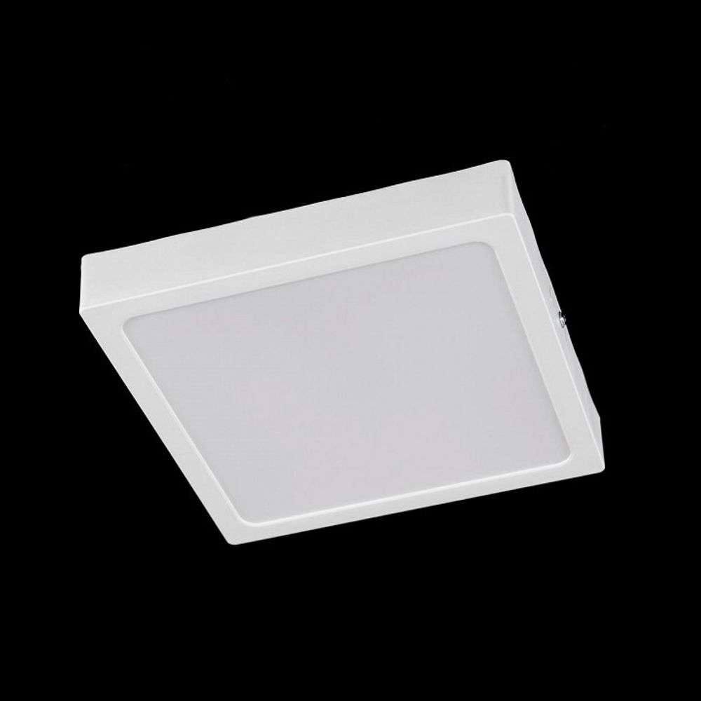 Накладной светильник Citilux Галс CL55K22N