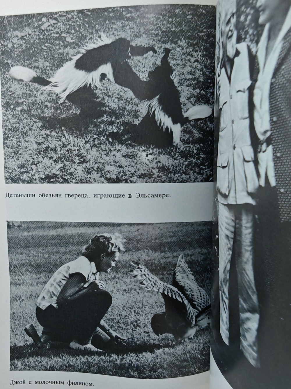 Моя беспокойная жизнь