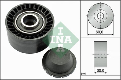 INA - 532032010-INA - Deflection/Guide Pulley, V-ribbed belt