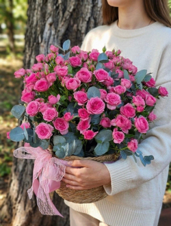 Кустовые розы в кашпо