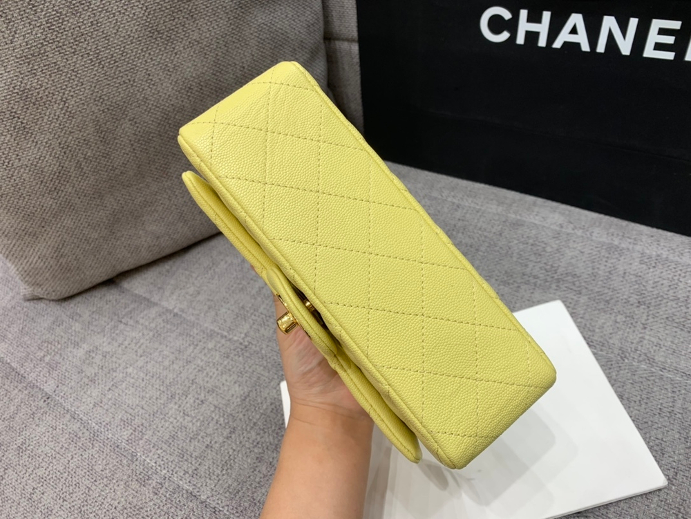 Chanel Bag 20 cm