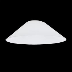 Citilux Эдисон CL450.12 Плафон