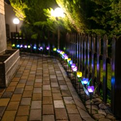 USL-C-453-PT305 PURPLE TULIP Садовый светильник на солнечной батарее Лиловый тюльпан. Белый свет. 1xLR аккумулятор в-к. IP44. TM Uniel.