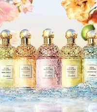 Guerlain Aqua Allegoria Sample Set