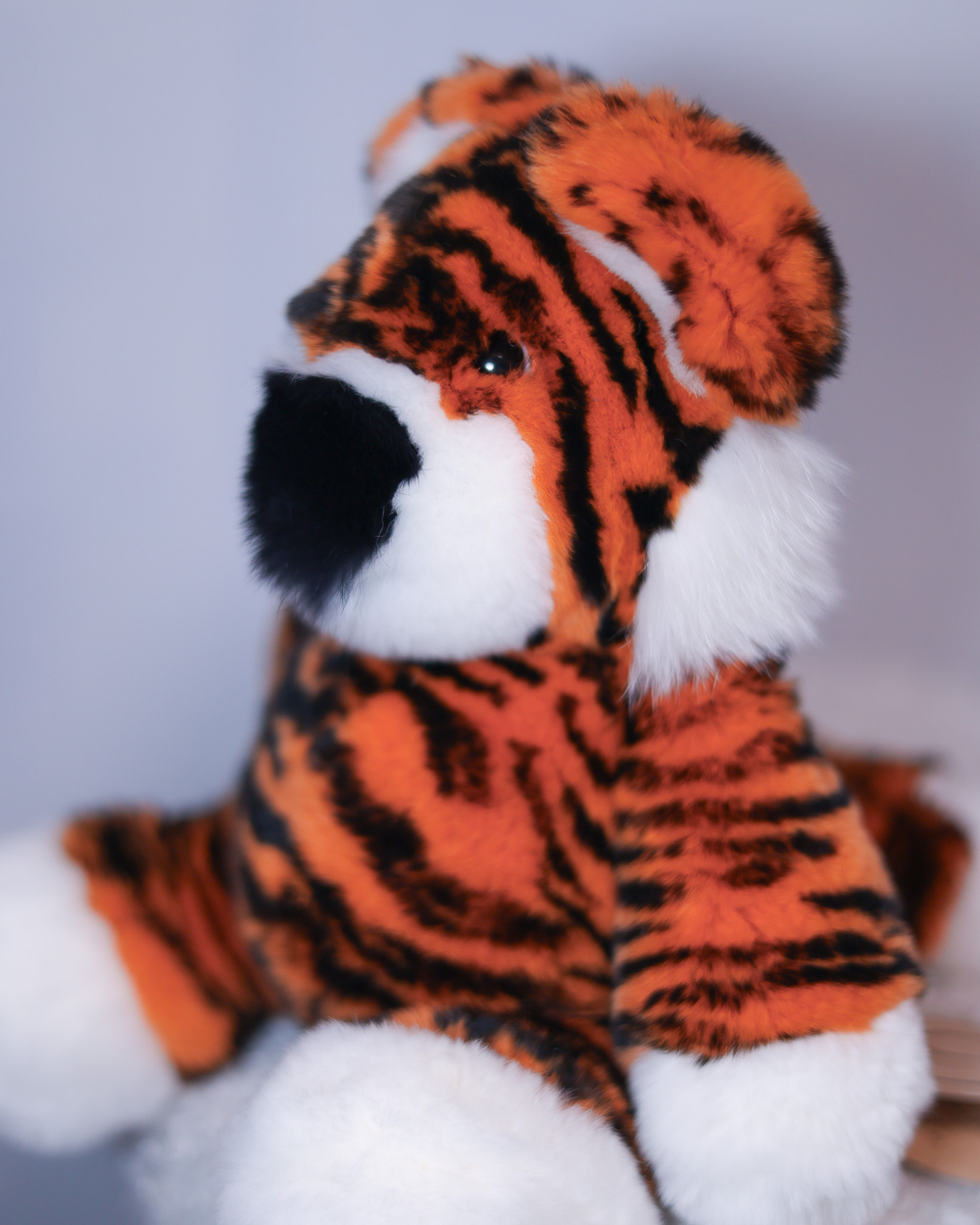 Тигр Тигруля