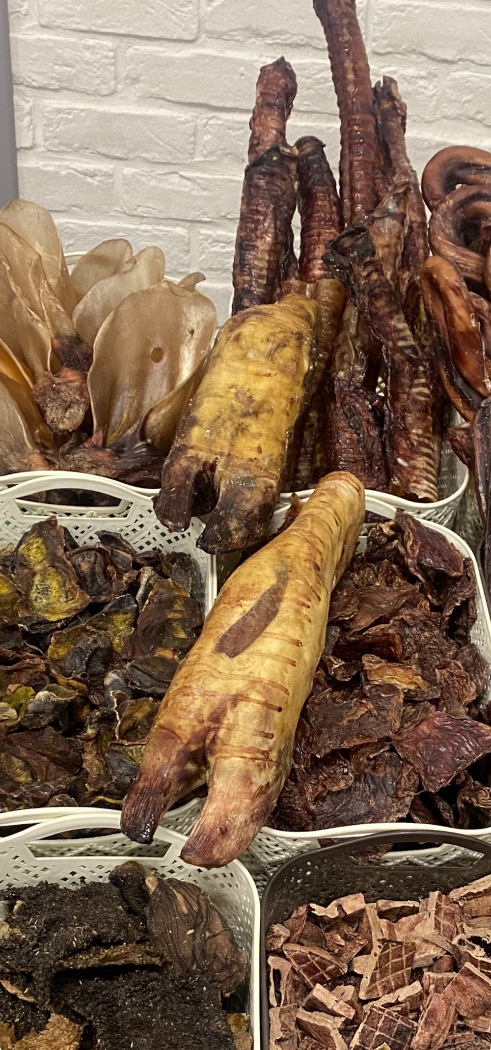 Путовый сустав говяжий (сушеное лакомство) (цена за 1 шт)