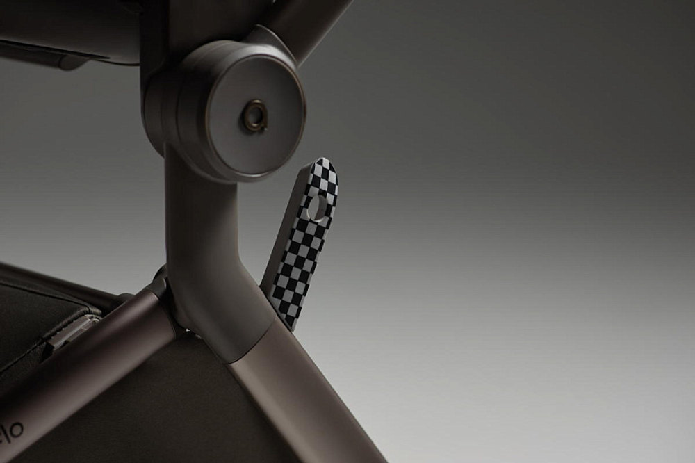 Детская коляска Anex Flo 2 в 1 Cesar