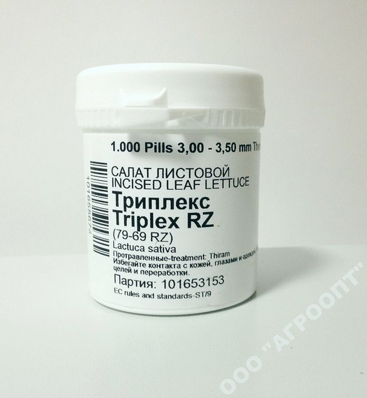 ТРИПЛЕКС семена салата (Rijk Zwaan | Alexagro) – фото 15