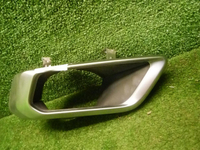 Насадка глушителя левая BMW X5 G05 (2018-2023)