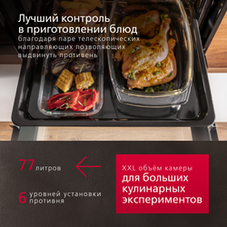 Духовой шкаф Hansa Pro Chef BOESS696001