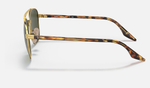 RAY-BAN RB3688 001/31
