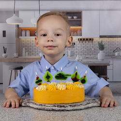 Свечи на пиках Камуфляж, 5 штук