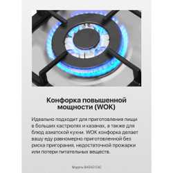 Газовая панель Hansa BHGI631542