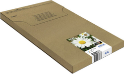 Картридж струйный Multi pack 1 шт Epson 18XL C13T18164511
