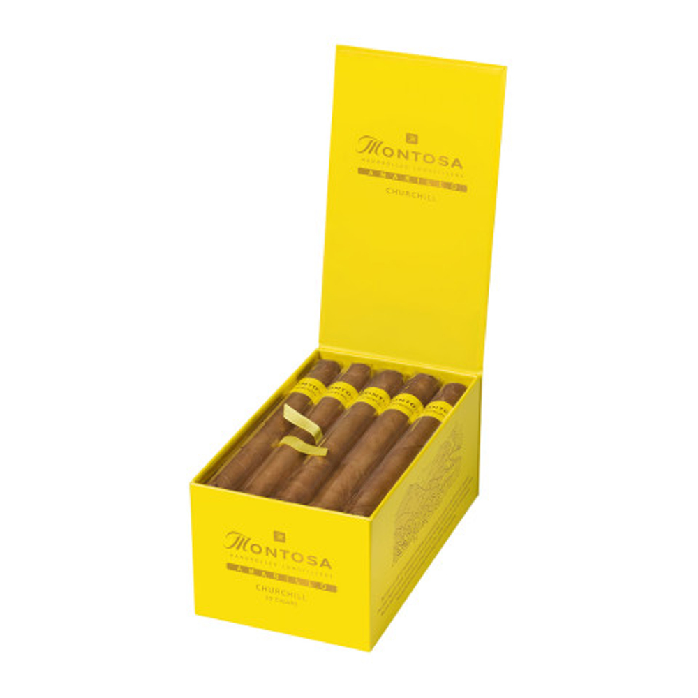 Montosa Amarillo Churchill