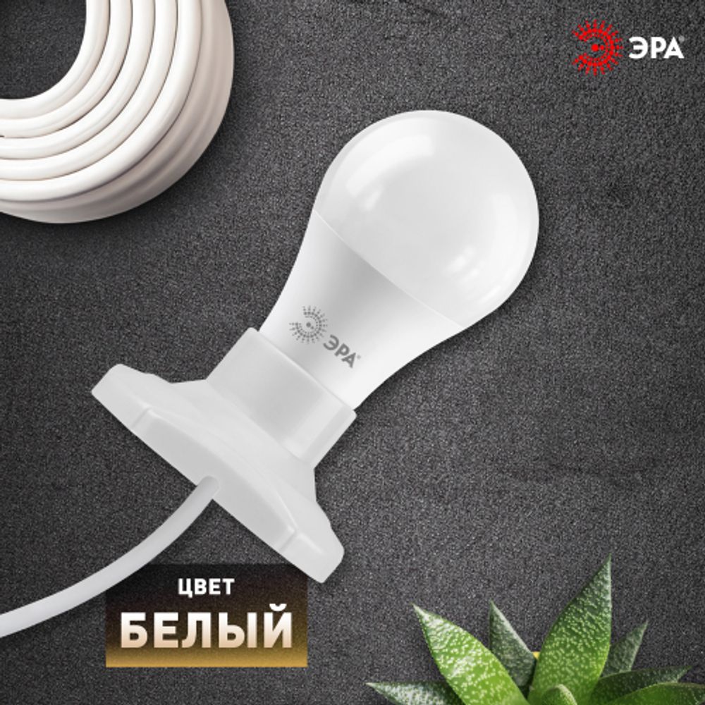 Патрон-основание ЭРА Е27 керамический белый