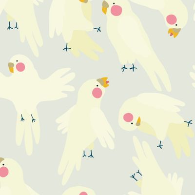 Нежный паттерн с попугаями