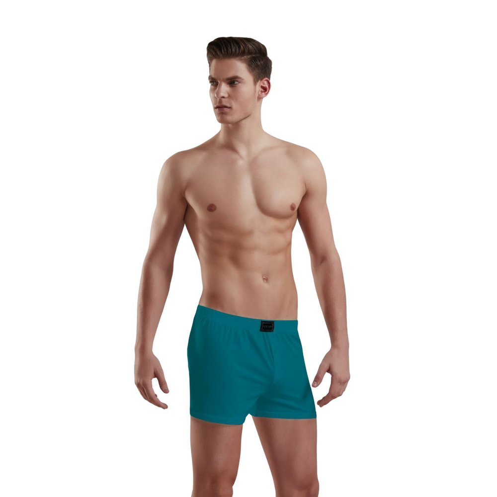 Хлопковые трусы-боксеры свободного покроя Doreanse Cotton Basic (Размер: L) (Цвет: бордовый)