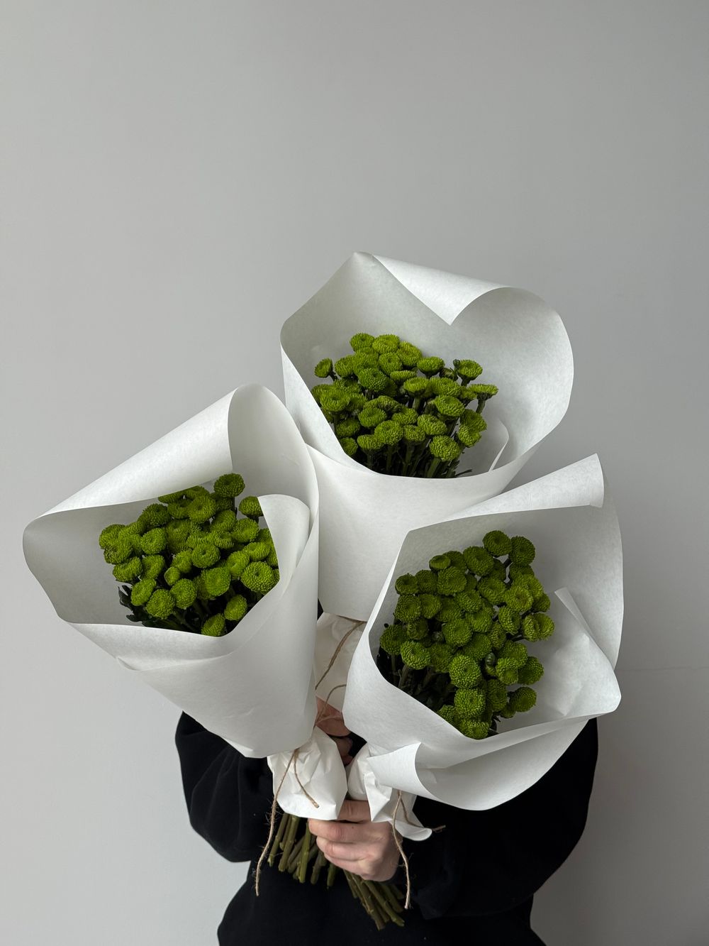 Охапка хризантемы в зеленом оттенке 10 шт