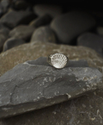 кольцо большая печатка ракушка