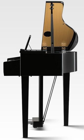 KAWAI DG30 EP - цифровое пианино, банкетка, 88 кл, молоточк. мех-ка, цвет черный полиров.