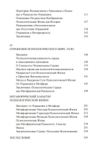 Зеркало и Метафора (Цифровая версия)