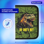 Пенал BRAUBERG 1 отделение 1 откидная планка полиэстер 21х14 см "Dino attack" (2 штуки в упаковке)