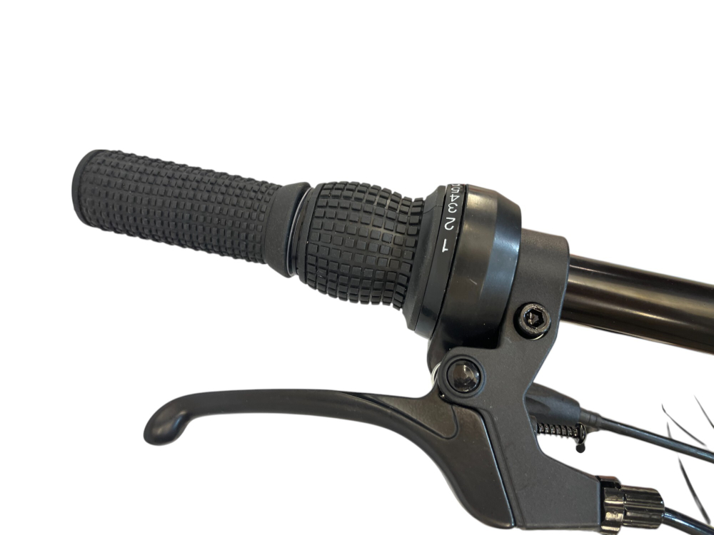 Велосипед Bike Dragon 26" 21скор (ст.рама,SunRun, Жесткая вилка, тормоз V-brake) BD-1-26-4 оранжевый