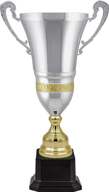 Кубок "Вебстер"