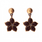 Серьги Clara Bijoux A75418 BR