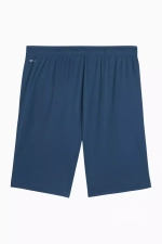 Шорты Puma teamLIGA Training 2